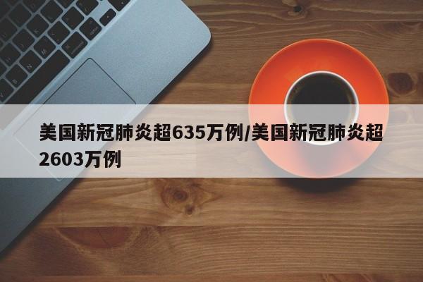 美国新冠肺炎超635万例/美国新冠肺炎超2603万例