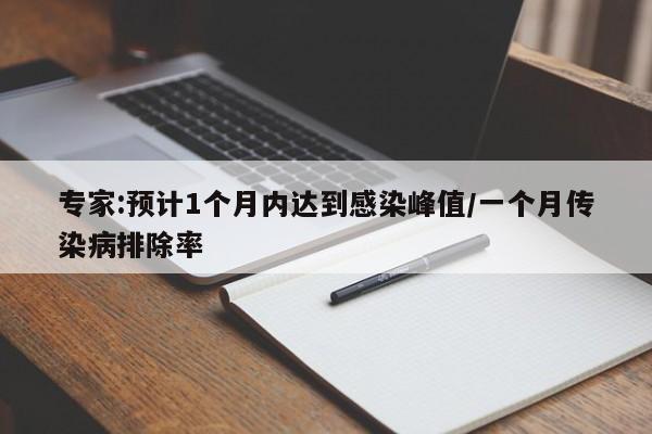 专家:预计1个月内达到感染峰值/一个月传染病排除率